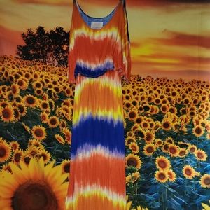 Multicolor maxi dress